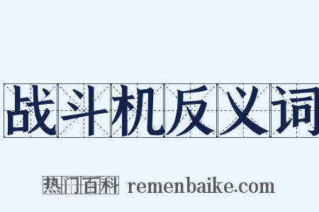 战斗机反义词是什么意思的图片
